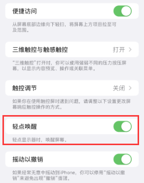 铜陵苹果授权维修站分享iPhone轻点无法唤醒怎么办 