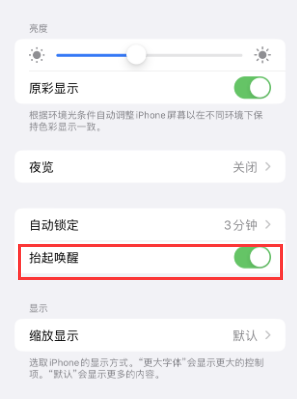 铜陵苹果授权维修站分享iPhone轻点无法唤醒怎么办