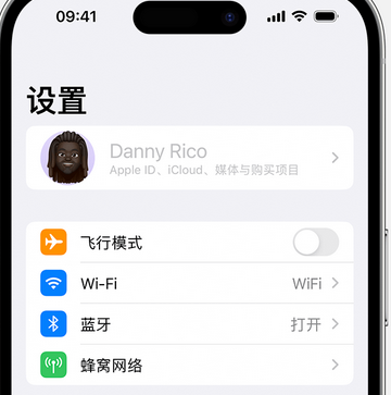 铜陵appleID维修服务iPhone设置中Apple ID显示为灰色无法使用