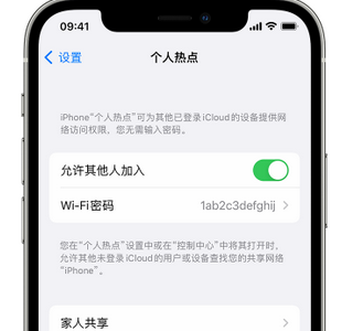 铜陵apple服务站点分享iPhone上个人热点丢失了怎么办 