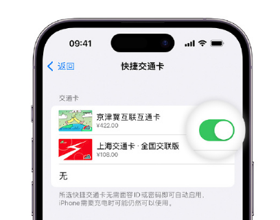 铜陵apple维修点分享iPhone上更换Apple Pay快捷交通卡手绘卡面 