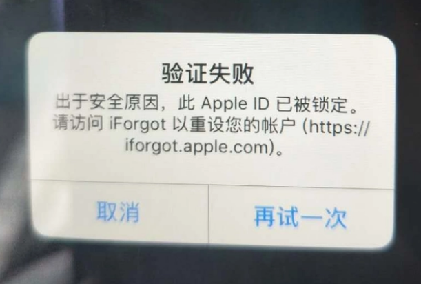 铜陵iPhone维修分享iPhone上正常登录或使用AppleID怎么办 