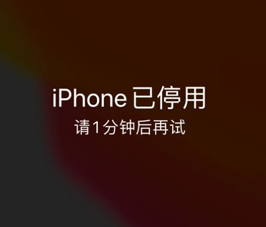 铜陵苹果手机维修分享:iPhone 显示“不可用”或“已停用”怎么办？还能保留数据吗？ 