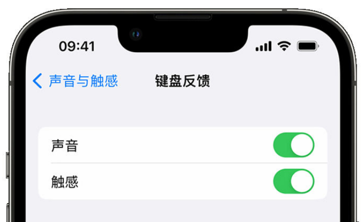 铜陵苹果手机维修分享iPhone 14触感键盘使用方法 