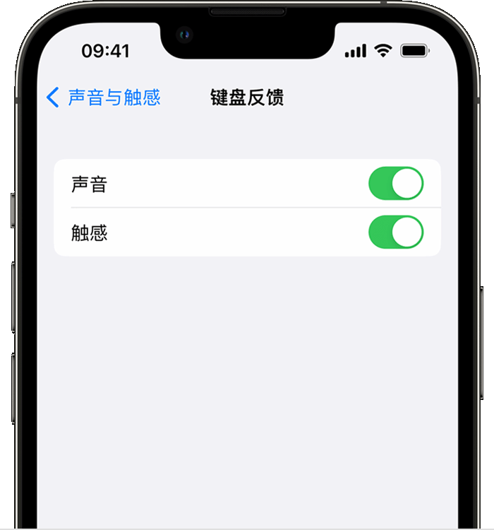 铜陵苹果14维修店分享如何在 iPhone 14 机型中使用触感键盘 