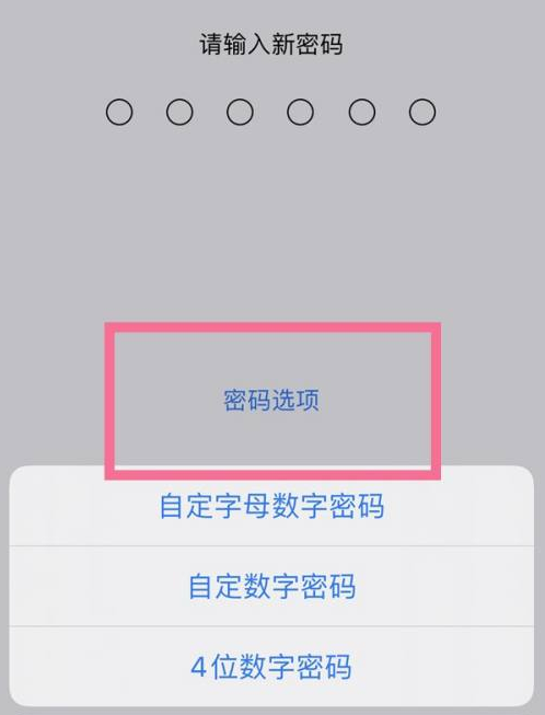 铜陵苹果14维修分享iPhone 14plus设置密码的方法 