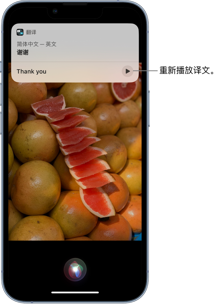 铜陵苹果14维修分享 iPhone 14 机型中使用 Siri：了解 Siri 能帮你做什么 