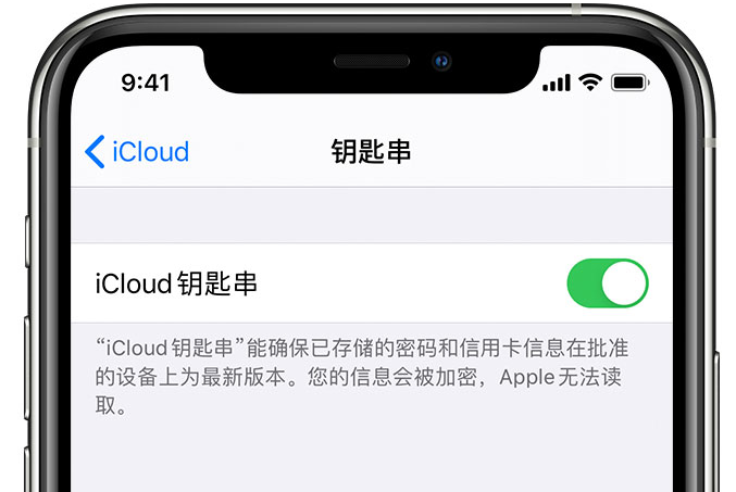 铜陵苹果手机维修分享在 iPhone 上开启 iCloud 钥匙串之后会储存哪些信息 