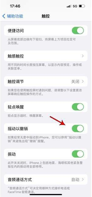 铜陵苹果手机维修分享iPhone手机如何设置摇一摇删除文字 