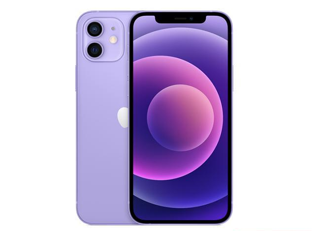 铜陵苹果手机维修分享现阶段要不要入手紫色版iPhone12 