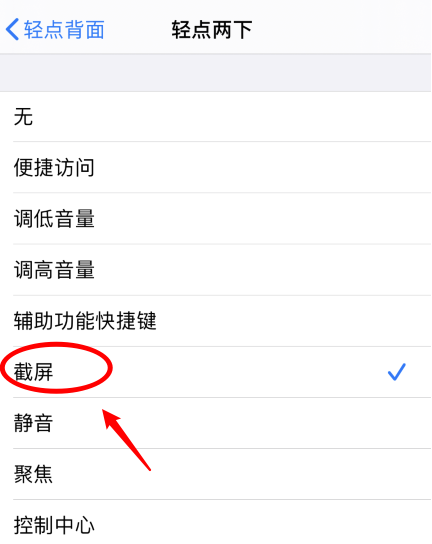 铜陵苹果手机维修分享iPhone12如何启用双击截屏 