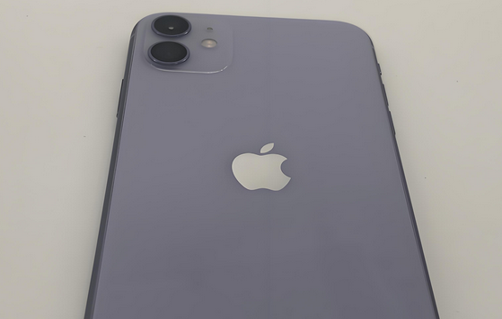 铜陵苹果11系统维修分享iPhone11手机系统崩溃无法开机如何解决